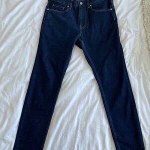 Everlane Blue Skinny Jeans Dark Wash